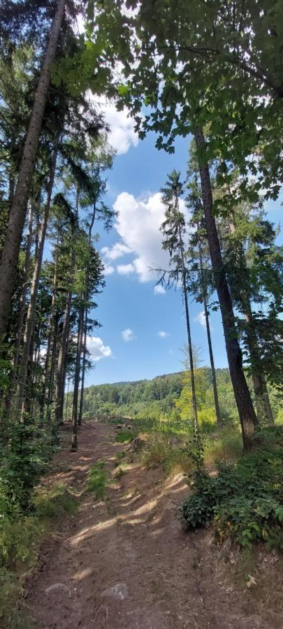 Apartman Na Kraji Lesa Janov nad Nisou Extérieur photo