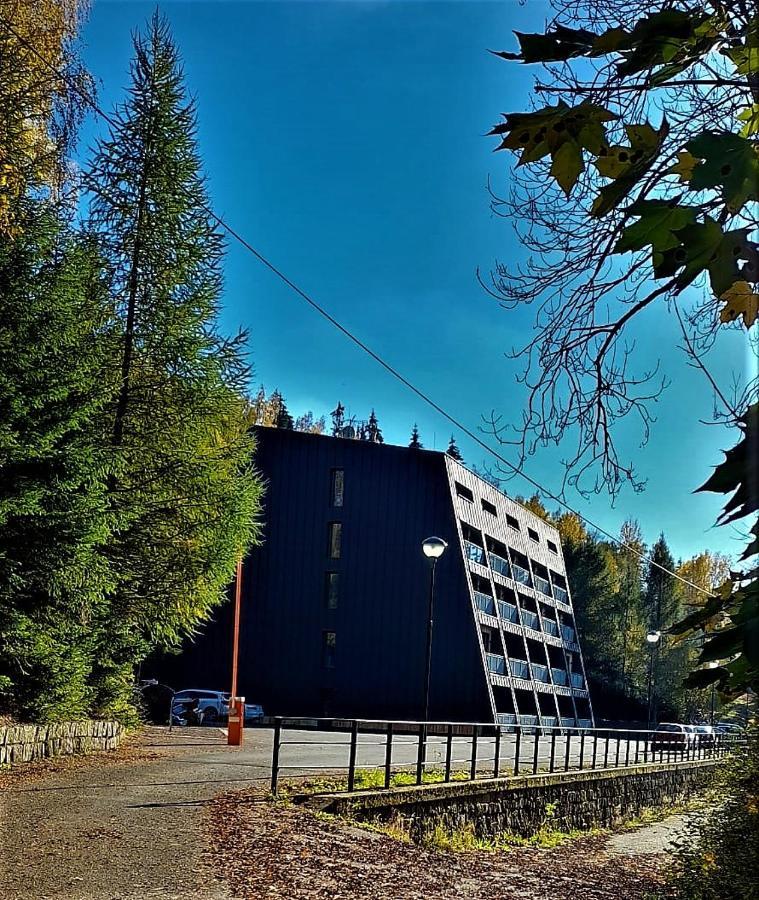 Apartman Na Kraji Lesa Janov nad Nisou Extérieur photo
