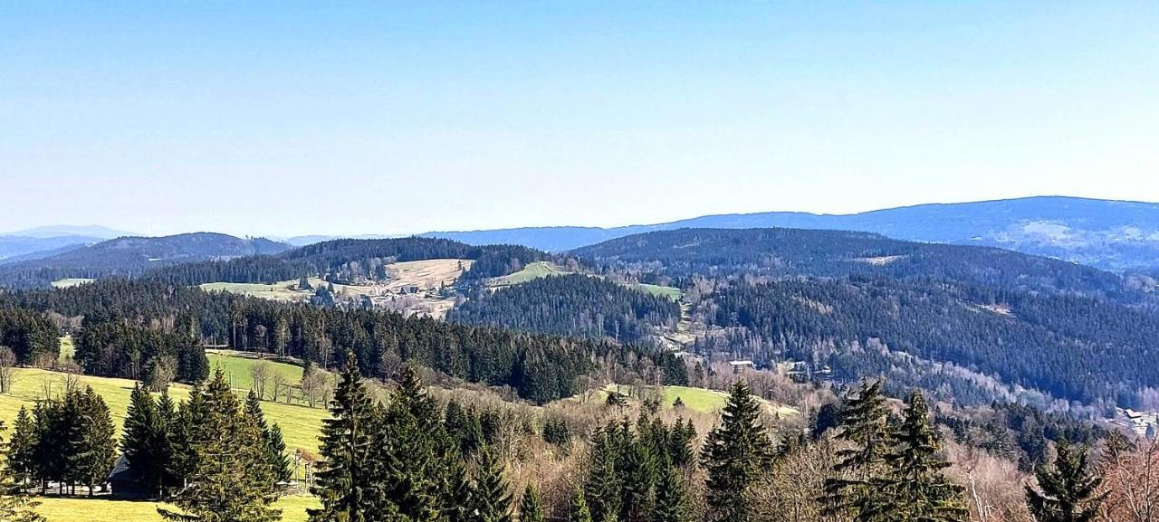 Apartman Na Kraji Lesa Janov nad Nisou Extérieur photo