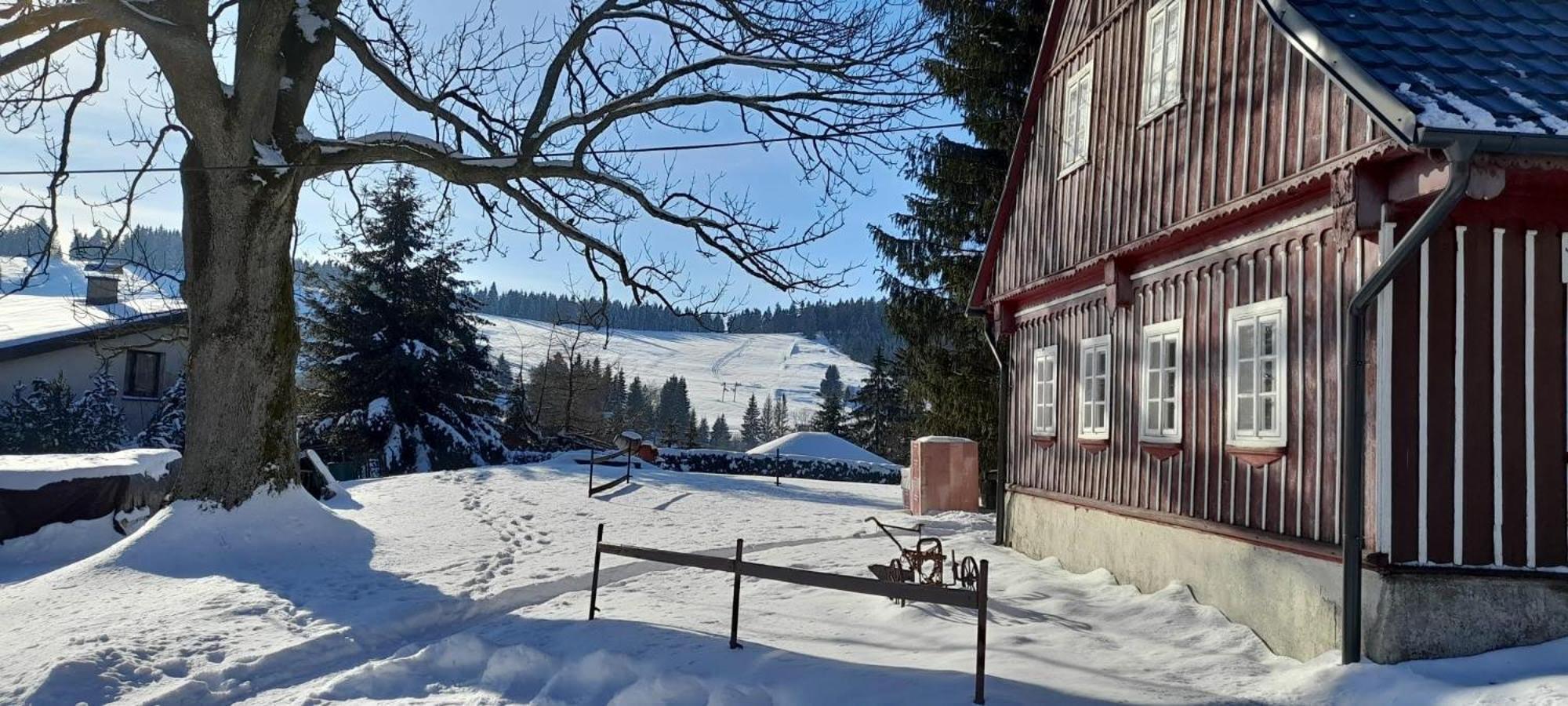 Apartman Na Kraji Lesa Janov nad Nisou Extérieur photo