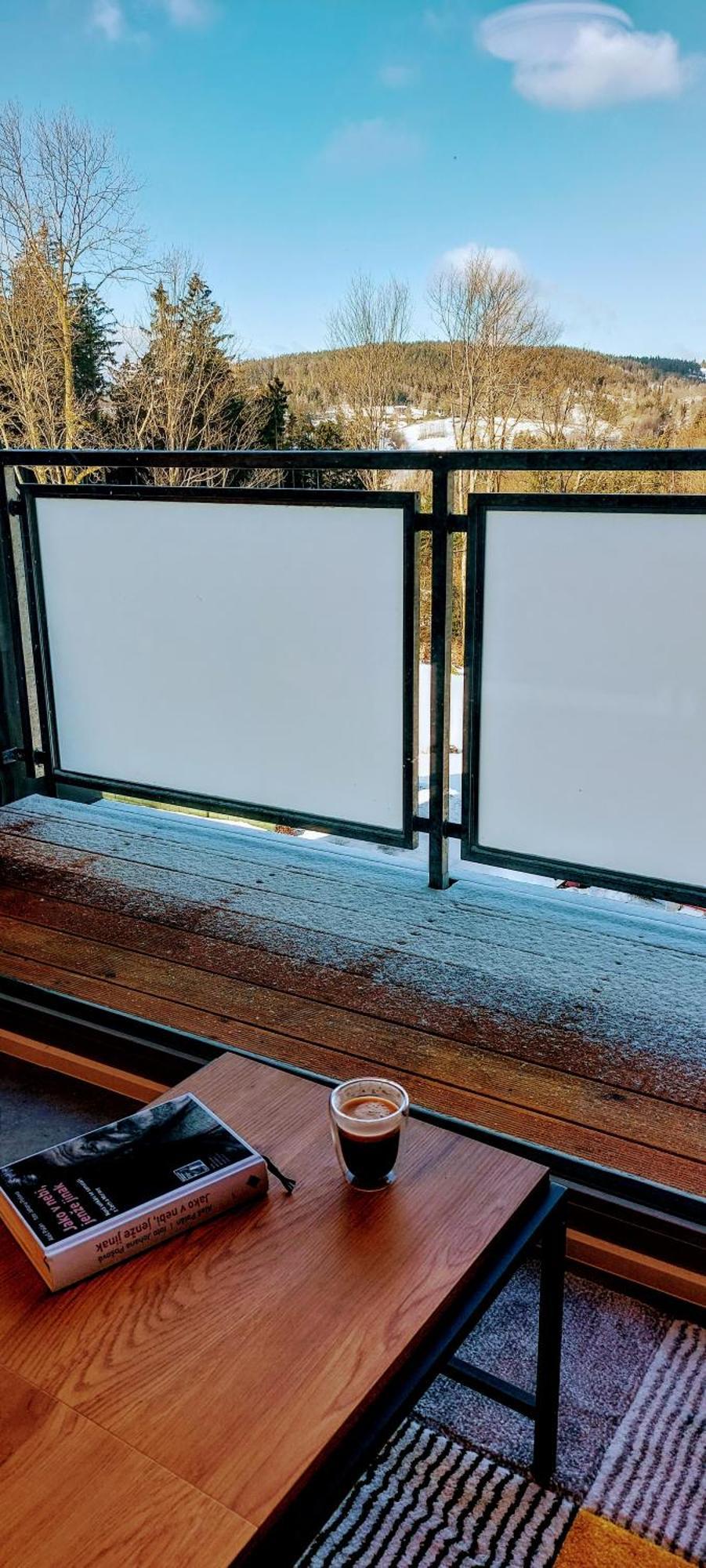 Apartman Na Kraji Lesa Janov nad Nisou Extérieur photo