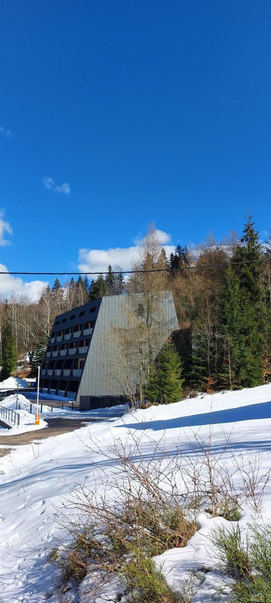 Apartman Na Kraji Lesa Janov nad Nisou Extérieur photo