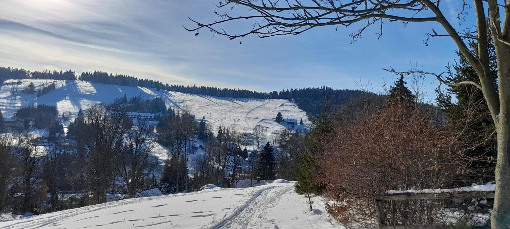 Apartman Na Kraji Lesa Janov nad Nisou Extérieur photo