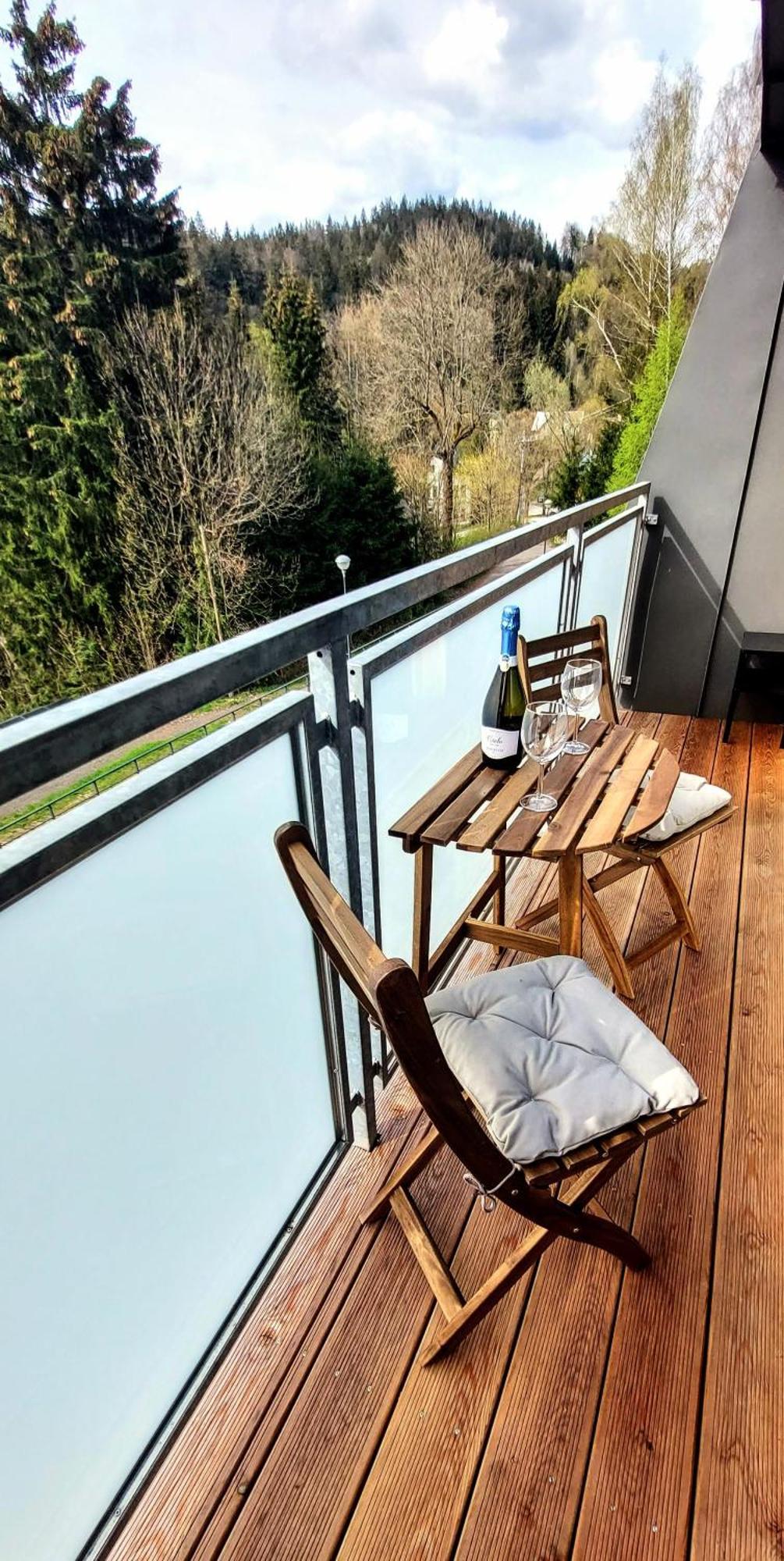 Apartman Na Kraji Lesa Janov nad Nisou Extérieur photo